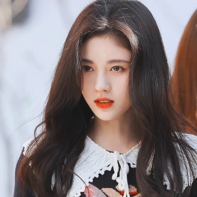 魔女与使魔